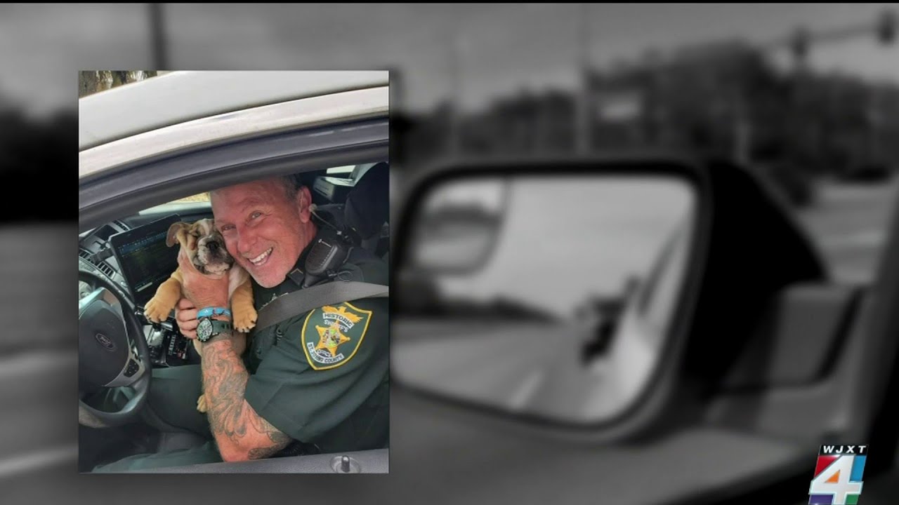 6 inches from death: St. Johns County deputy stresses move over law after getting hit by bus