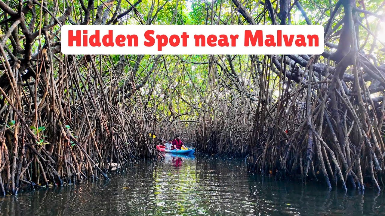 Malvan मध्ये असं experience कुठे मिळणार?  | Khavane–Vengurla Kayaking Safari Tour