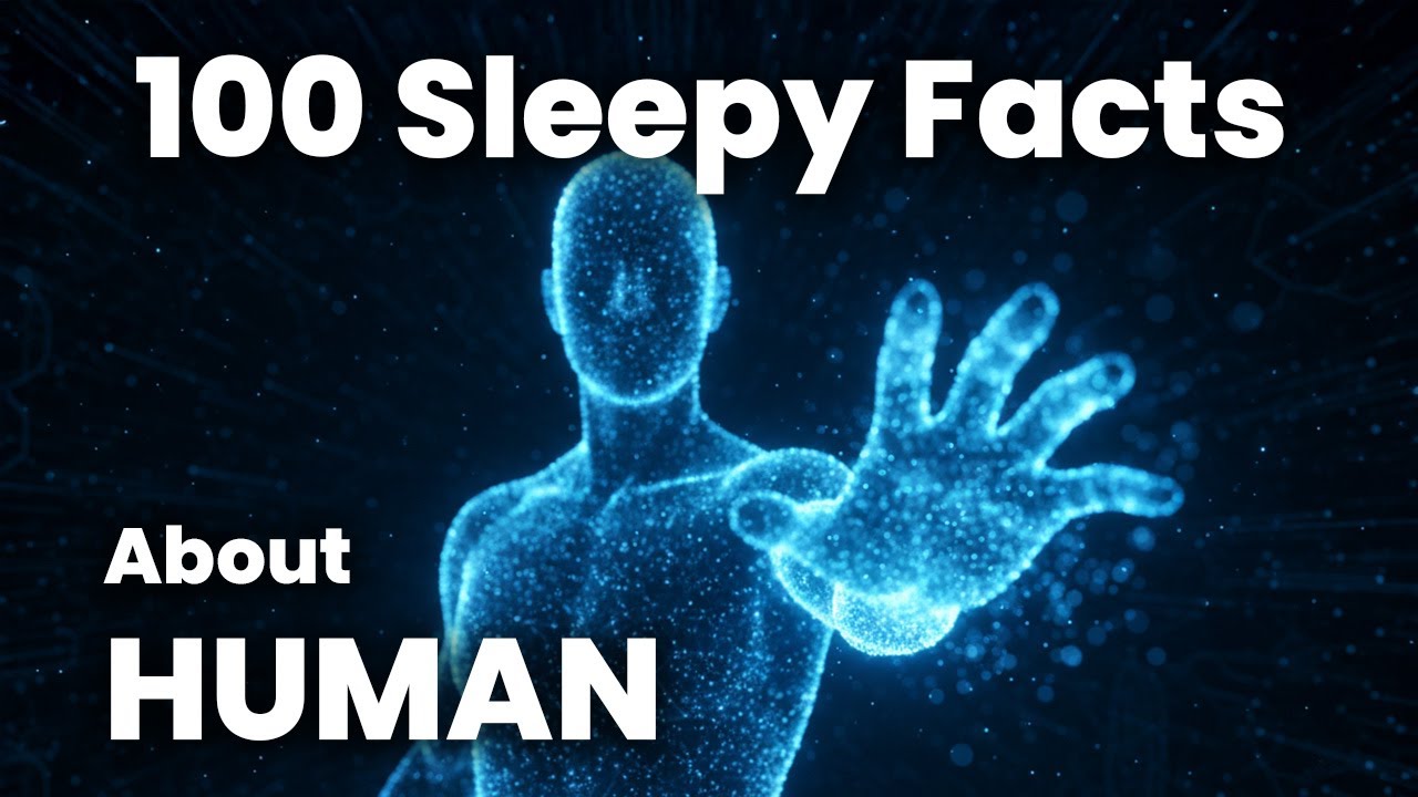 The Art of Understanding Humans, Science For Sleep