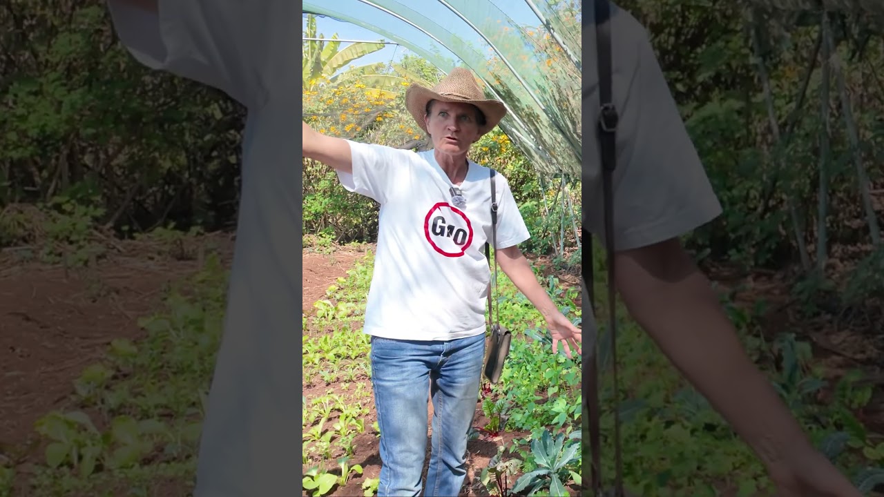 Her Chemical-Free Farm Is Changing Everything 🌿