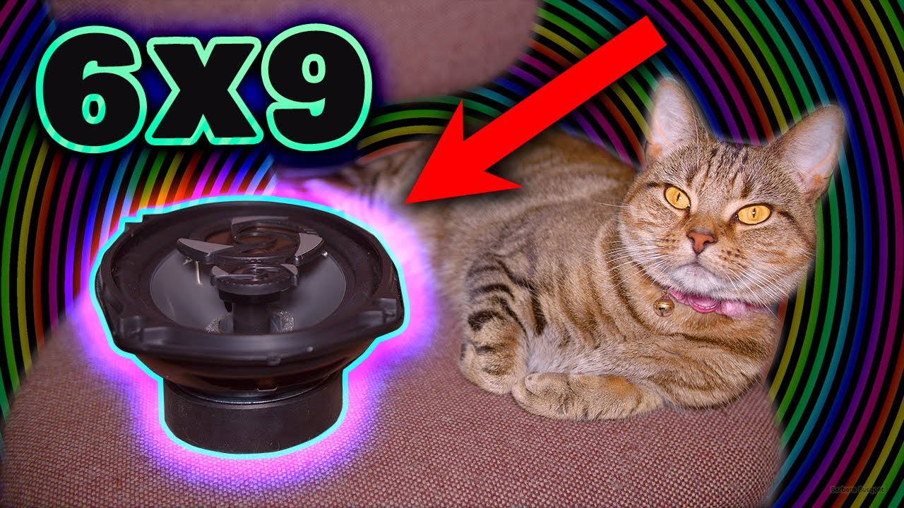 OVERPOWERING A SPEAKER - 6x9 GLUE STRENGTH TEST