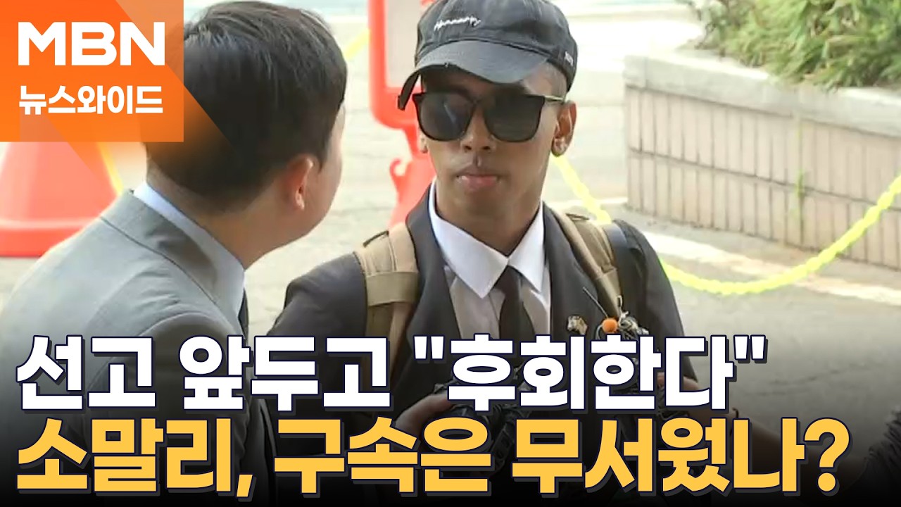 '소녀상 모욕' 조니 소말리, 징역 6개월에 법정 구속&hellip;재판부 