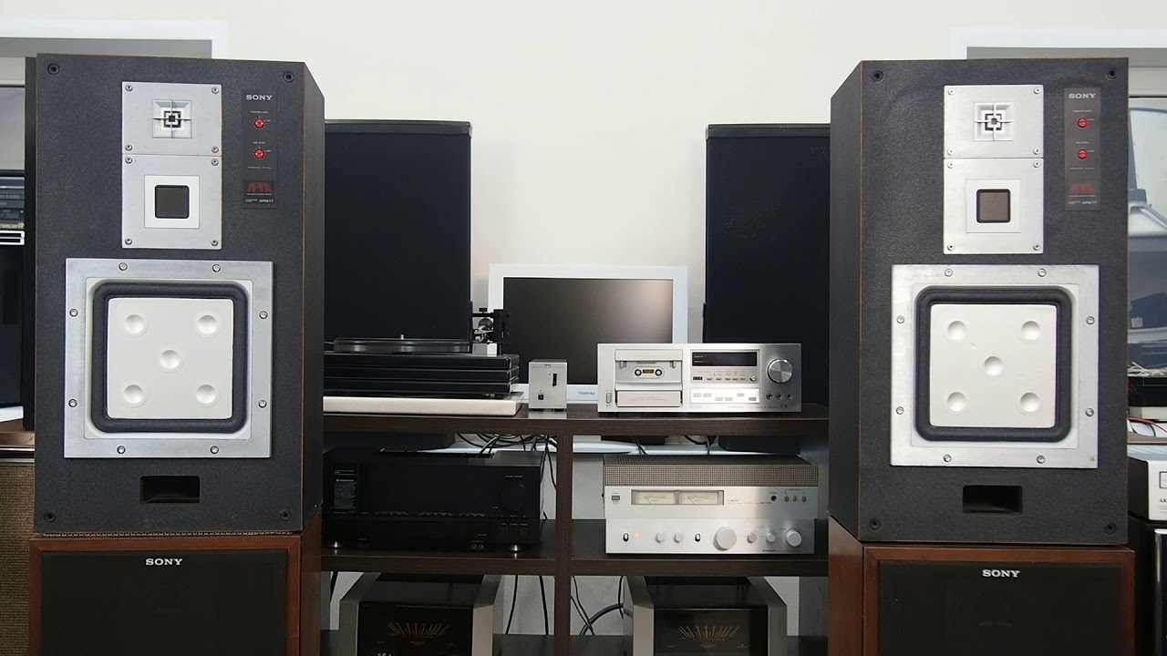 SONY APM-77W Высшие. Сотовые диффузоры. 4 поршневые катушки.