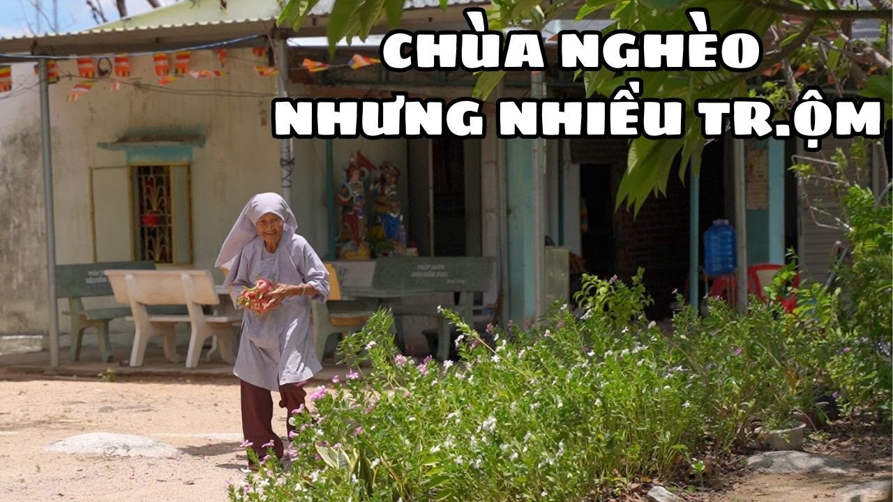 Sư Bà Nghèo Rớt Mùng Tơi Bị C.ướp Lấy Tr.ộm Mất Bảng Hiệu Chùa