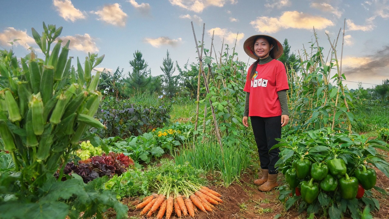 Plant Vegetables, Care For The Garden, Harvest Chili Peppers, Okra, Carrots To Sell And Cook