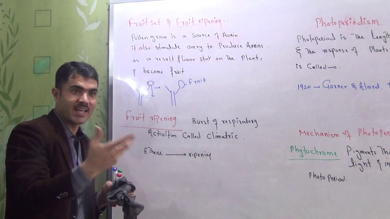 Photoperiodism, fruit setting and vernalization urdu by Dr Hadi