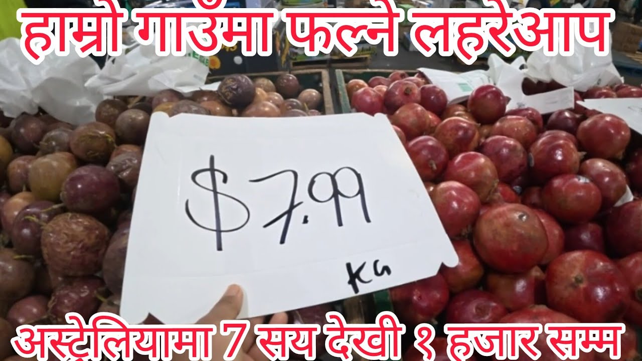 नेपालमा भन्दा सस्तो मार्केट #australia #bazzar #sydney 