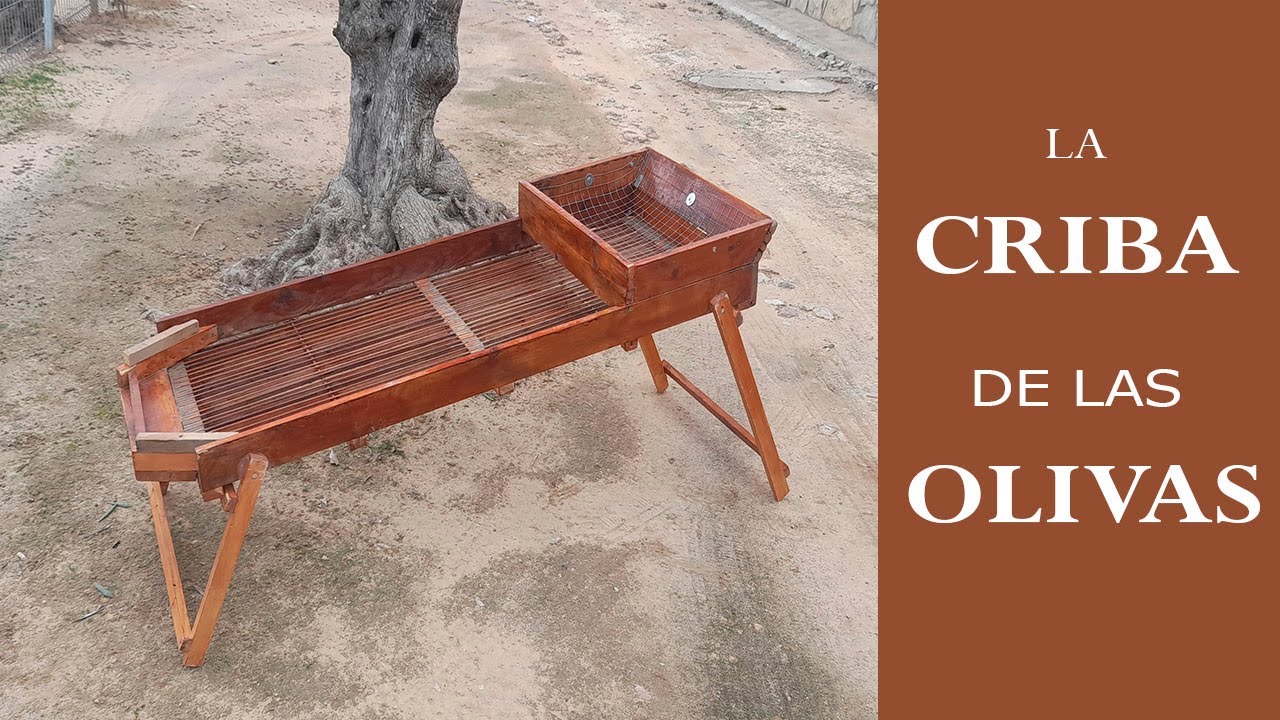 🫒La criba🫒 Aceite de oliva casero. 🛠Maquinaria de creación propia.