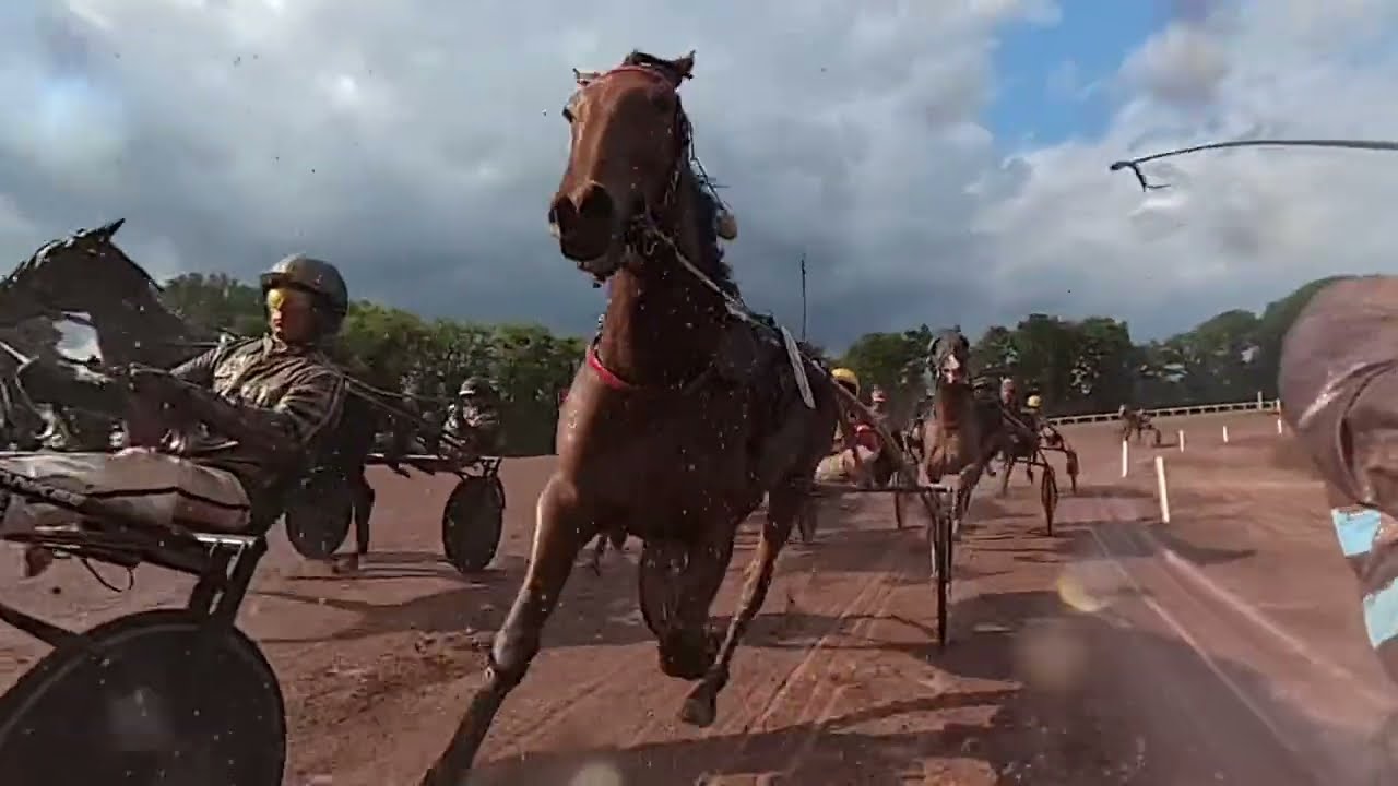Le Mans : hippodrome phare de la Sarthe au trot et au galop : Fédération Anjou Maine