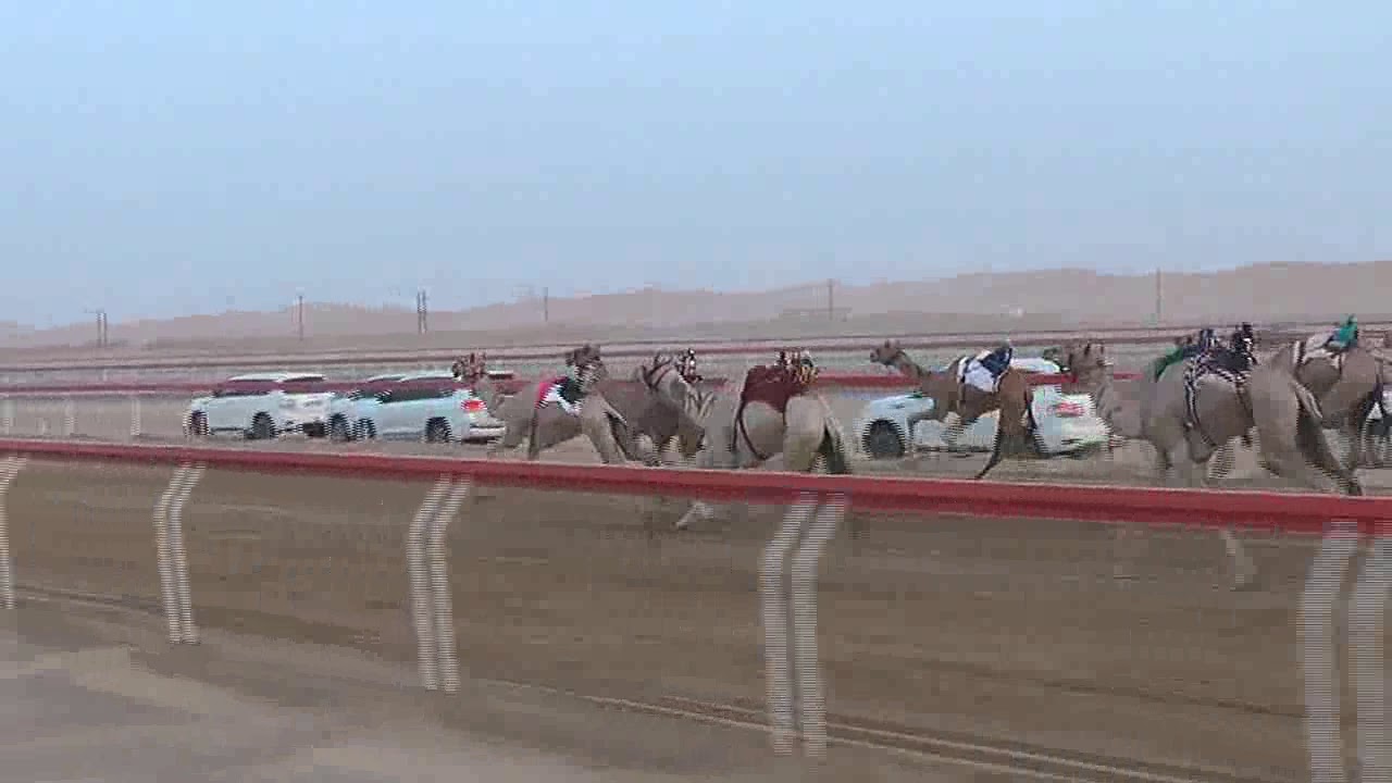 ميدان الجبيب 4/7/2019 الشوط 6(الشامخ) سالم بن عبدالله بن شطيط العمري  4:54