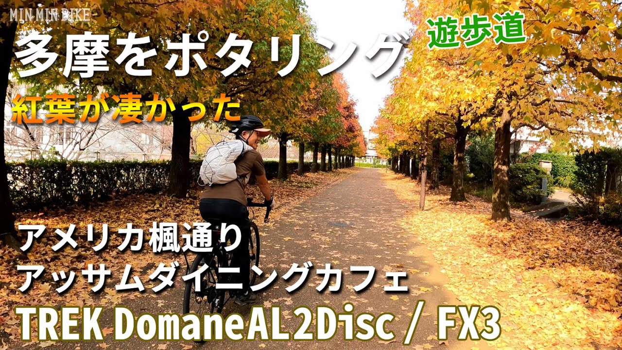 多摩市の紅葉ポタリング　去年の今頃　尾根幹から少し入ったアッサムダイニングカフェでカレーでランチ　ロードバイク　クロスバイク