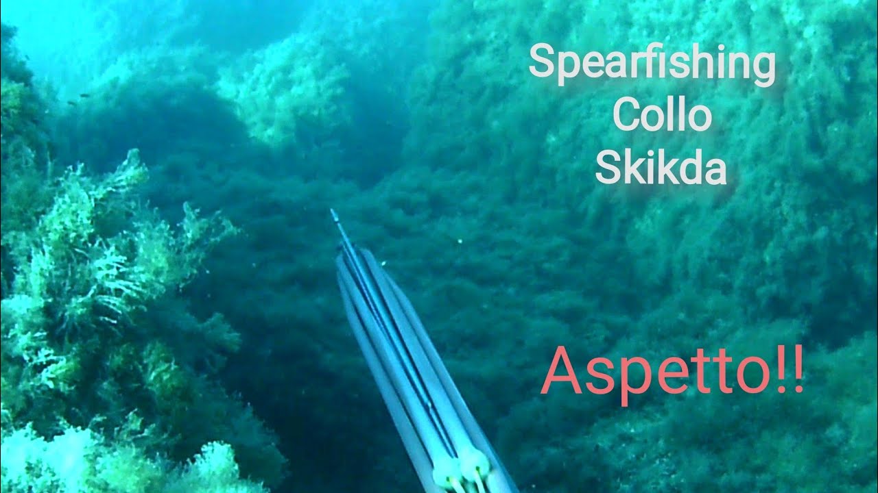 #Spearfishing. #Aguatto !!!