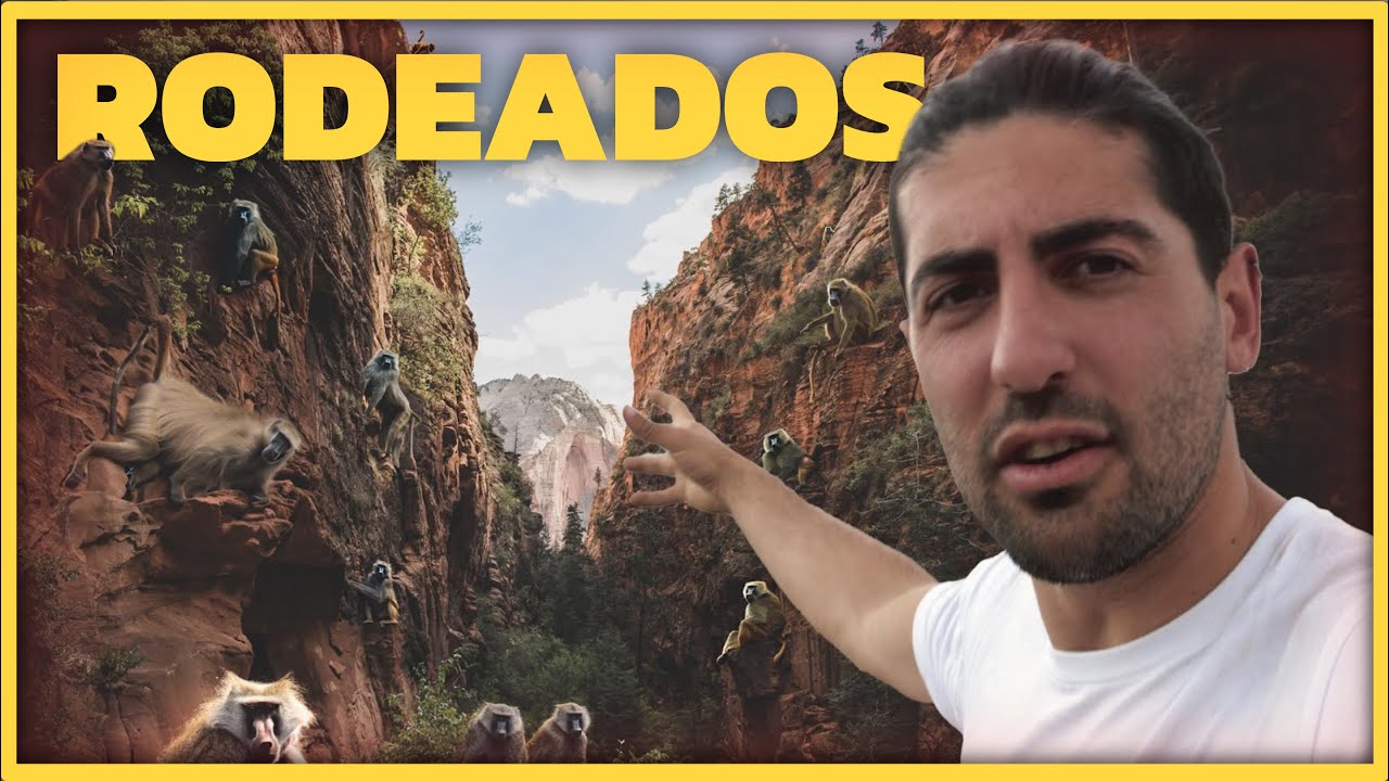 BABUINOS SALVAJES nos RODEAN en ARABIA SAUDI #94 VUELTA al MUNDO en AMBULANCIA