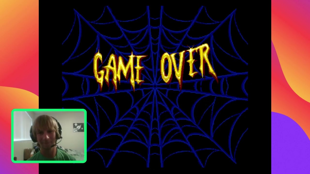 Spider-Man the Animated Series: The Video Game