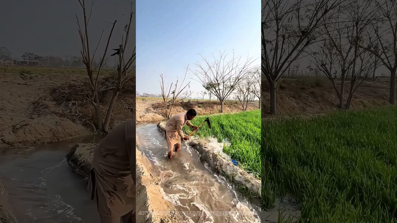 Diverting Disaster: How a Farmer&rsquo;s Quick Work Saves Crops from Flood Waters