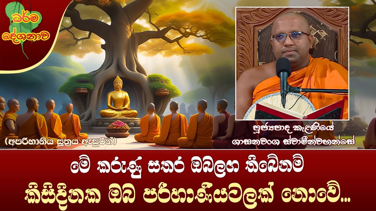 Ven Kalaniye Shasanawansha Thero | 2023-11-21 | 12:30 PM (ඔබ පරිහාණියට පත්නොවන කරුණූ සතර...)
