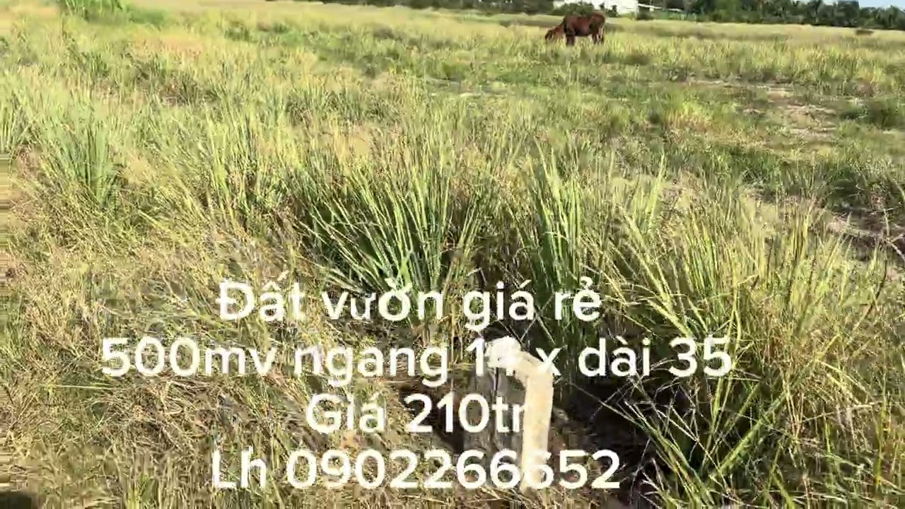 ngày 3 tháng 2, 2026