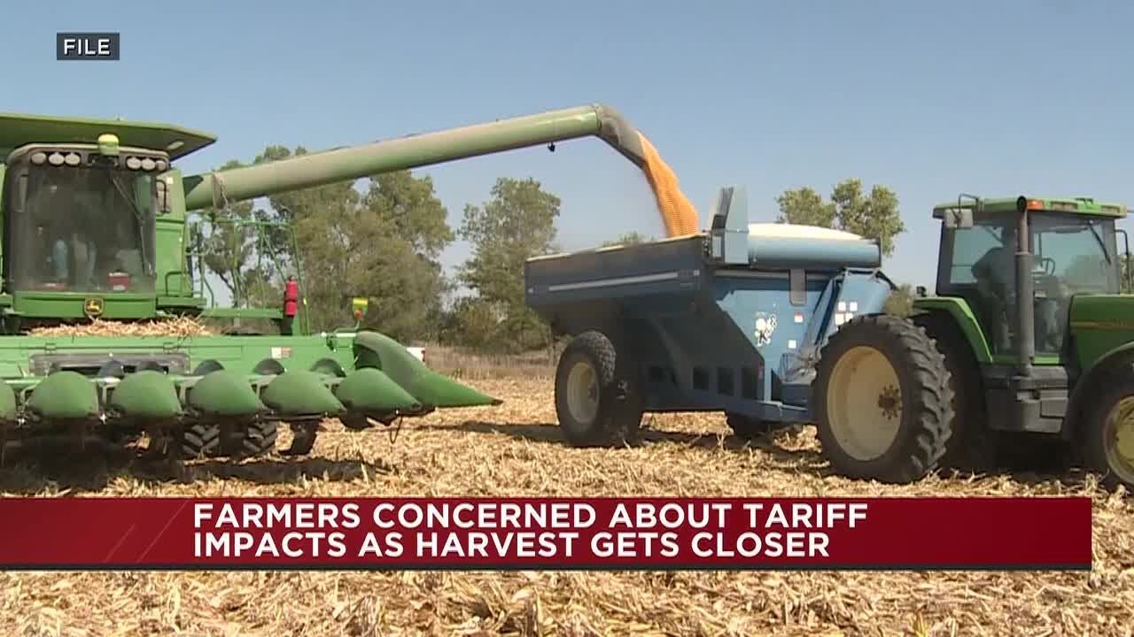 Nebraska farmers brace for harvest as tariffs and low prices hit hard
