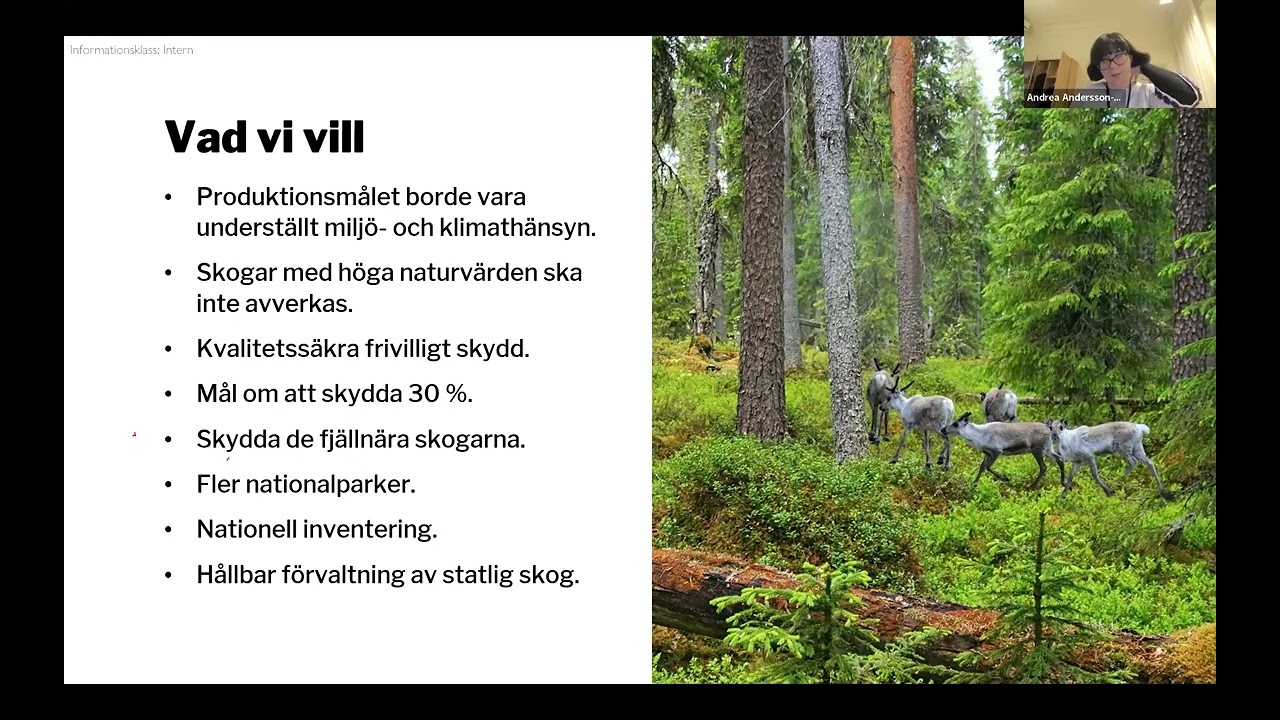 Skogswebinar #5 - Andrea  Andersson Tay (Vänsterpartiet)