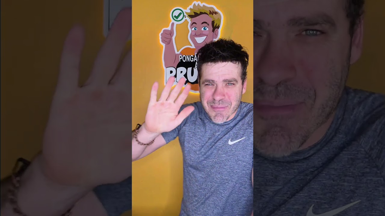 Puse a prueba la casa de campa&ntilde;a invisible para observar &aacute;rboles y la naturaleza