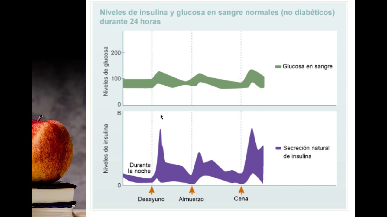 Conteo de carbohidratos
