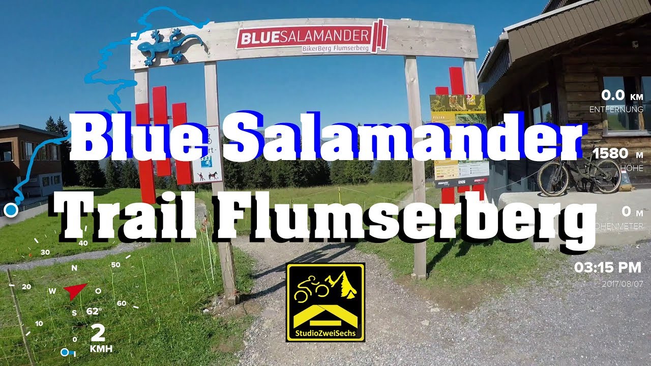 Blue Salamander Flumserberg | Full Trail inkl. Bikedusche | 2.7K | Bikerberg Flumserberg