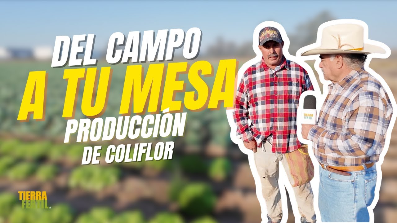 Tierra Fértil Tv- Hortalizas de gran calidad (10.01.26)