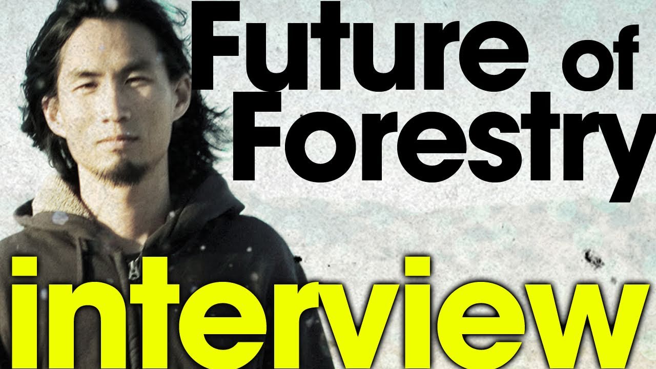 Future of Forestry Interview || Eric Owyoung || THiNK International