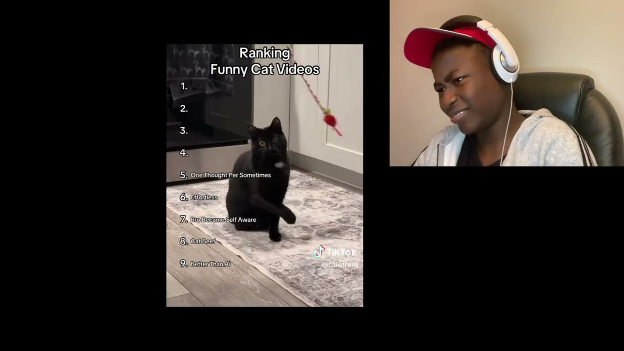 funny tiktoks