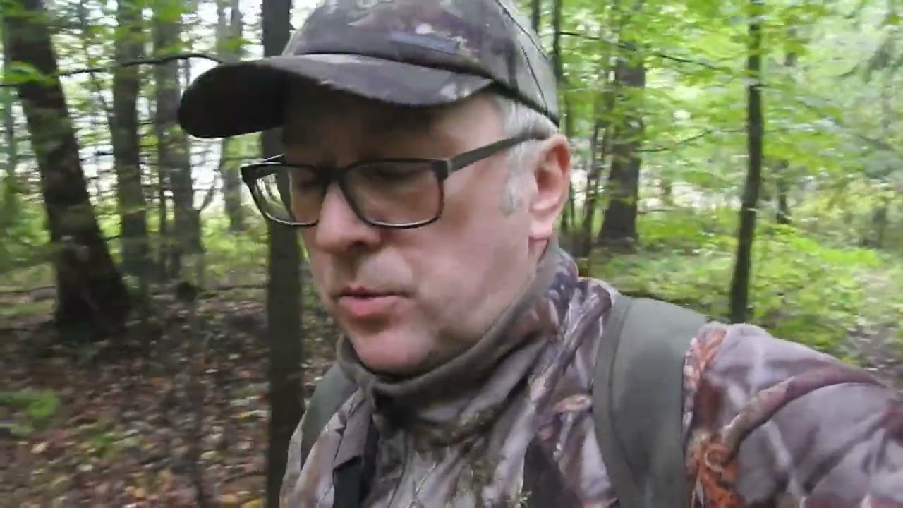 Atak łosia na kamerę. Największy łopatacz nagrany!! Leśne historie cz.88