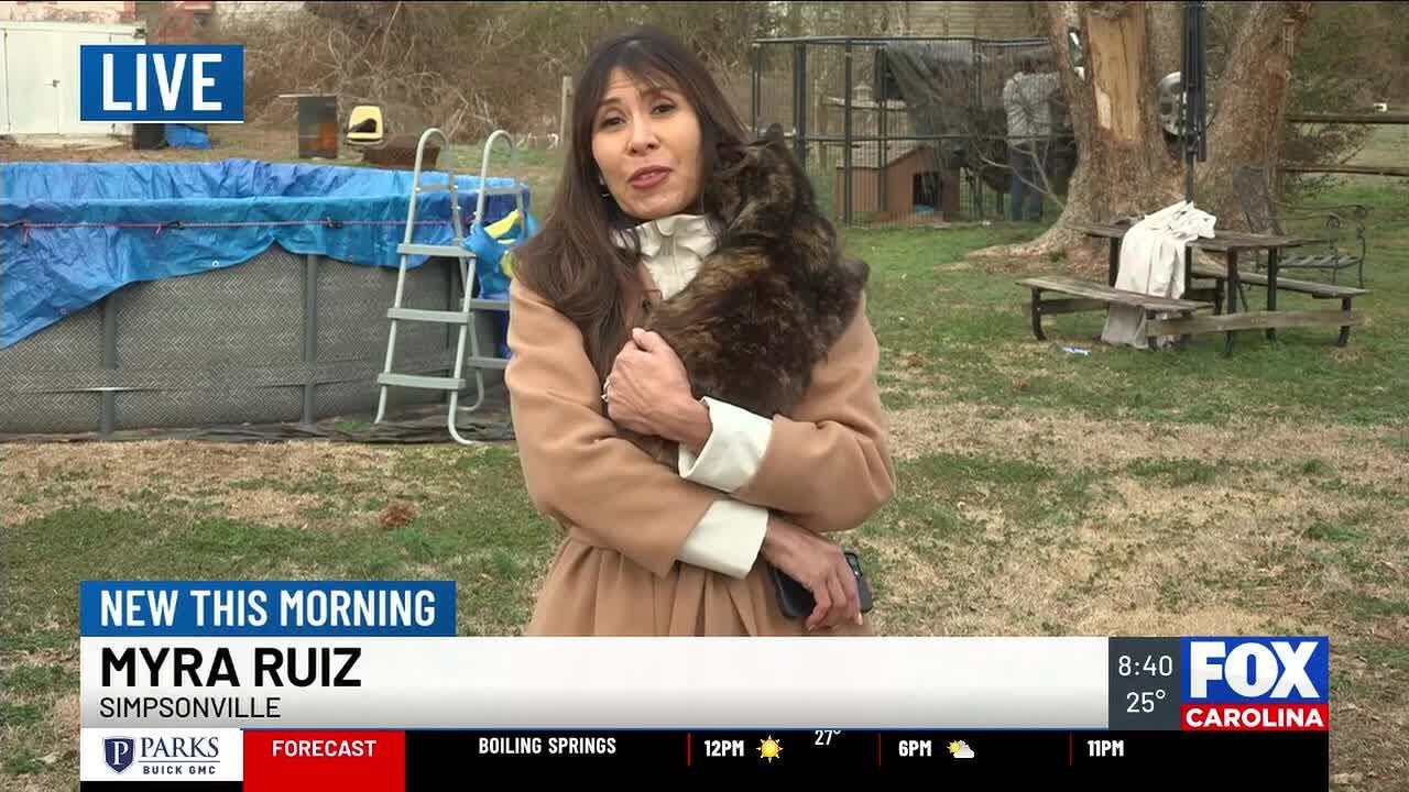 Effort will keep feral cats outdoors but take away their ability to reproduce