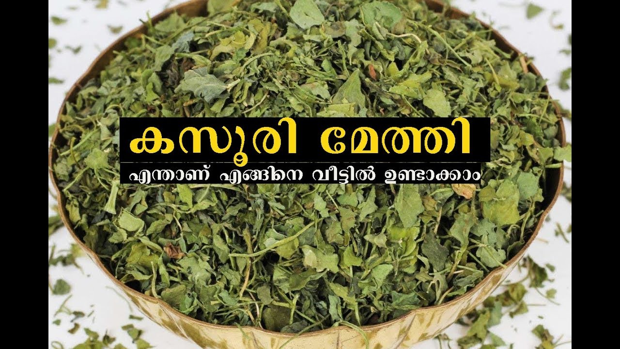 കസൂരി മേത്തി ഇനി പുറത്തു നിന്ന് വങ്ങേണ്ട വീട്ടില്‍ ഉണ്ടാക്കാം||Home made Kasoori Methi Malayalam