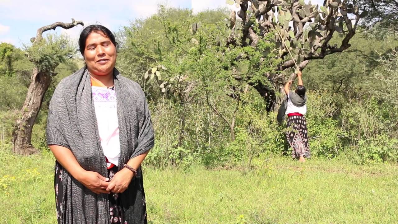 DOCUMENTAL COCINERA TRADICIONAL DE GUANAJUATO