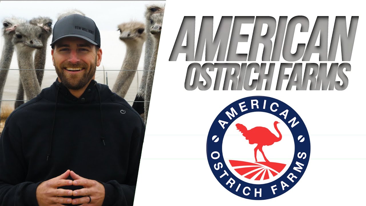 American Ostrich Farms - 
