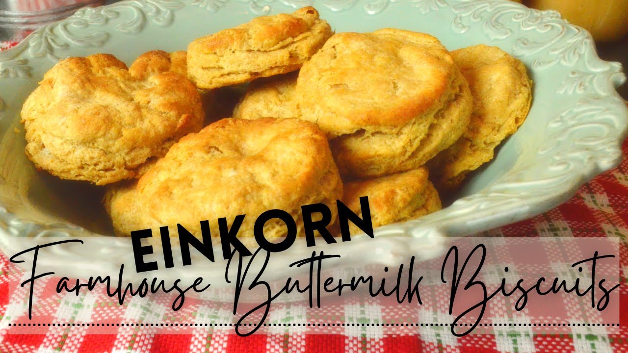 Farmhouse Buttermilk Biscuits (with EINKORN) ~ How to make Einkorn Flour Buttermilk Biscuits