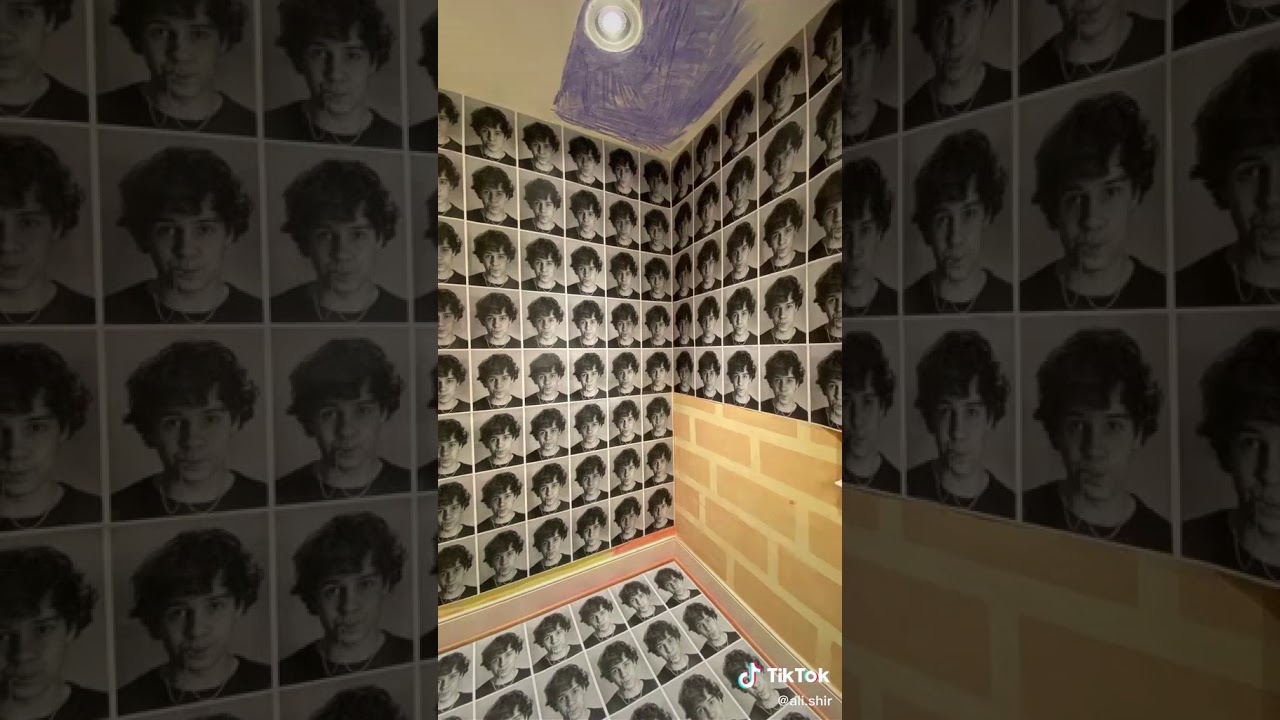House covered in david dobrik