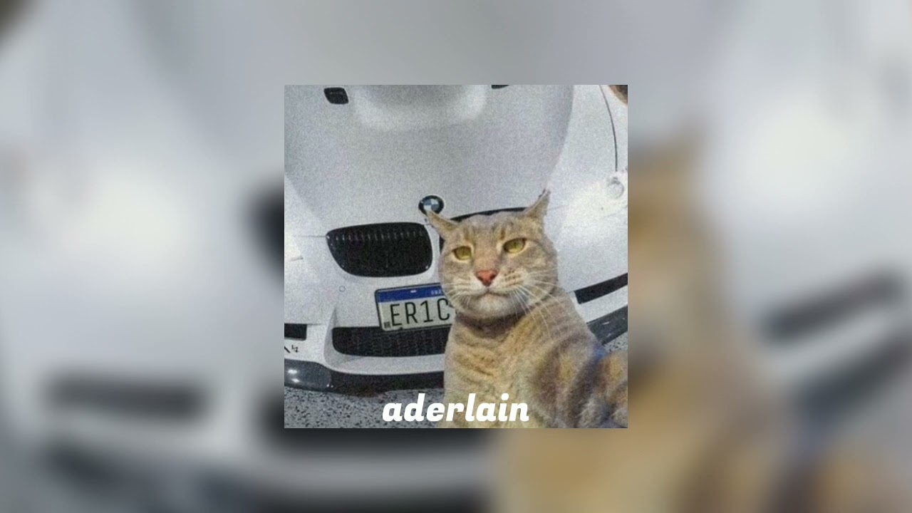 Qəşəy qəşəy(speed up)