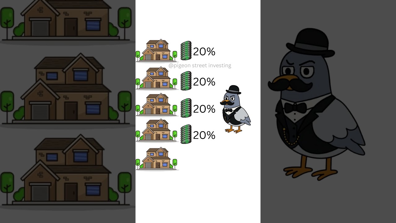 Leverage Explained by Pigeon