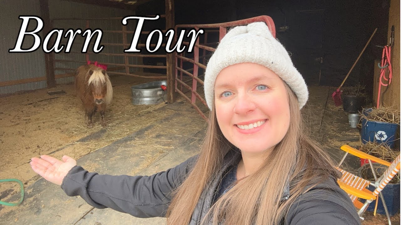 Horse Barn Tour & Horse Morning Routine (Barn Renovation)