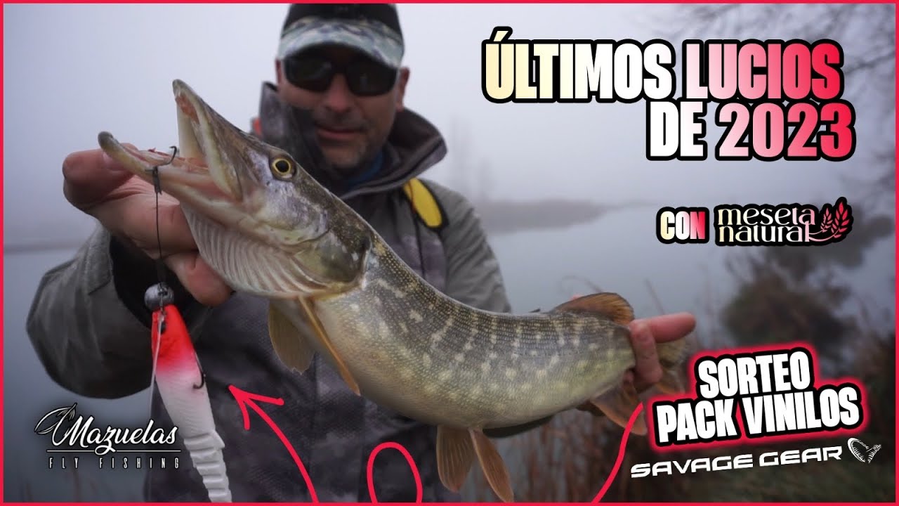LUCIOS DEPREDANDO en invierno2023.🚨SORTEO SAVAGE GEAR🚨Con MESETA NATURAL