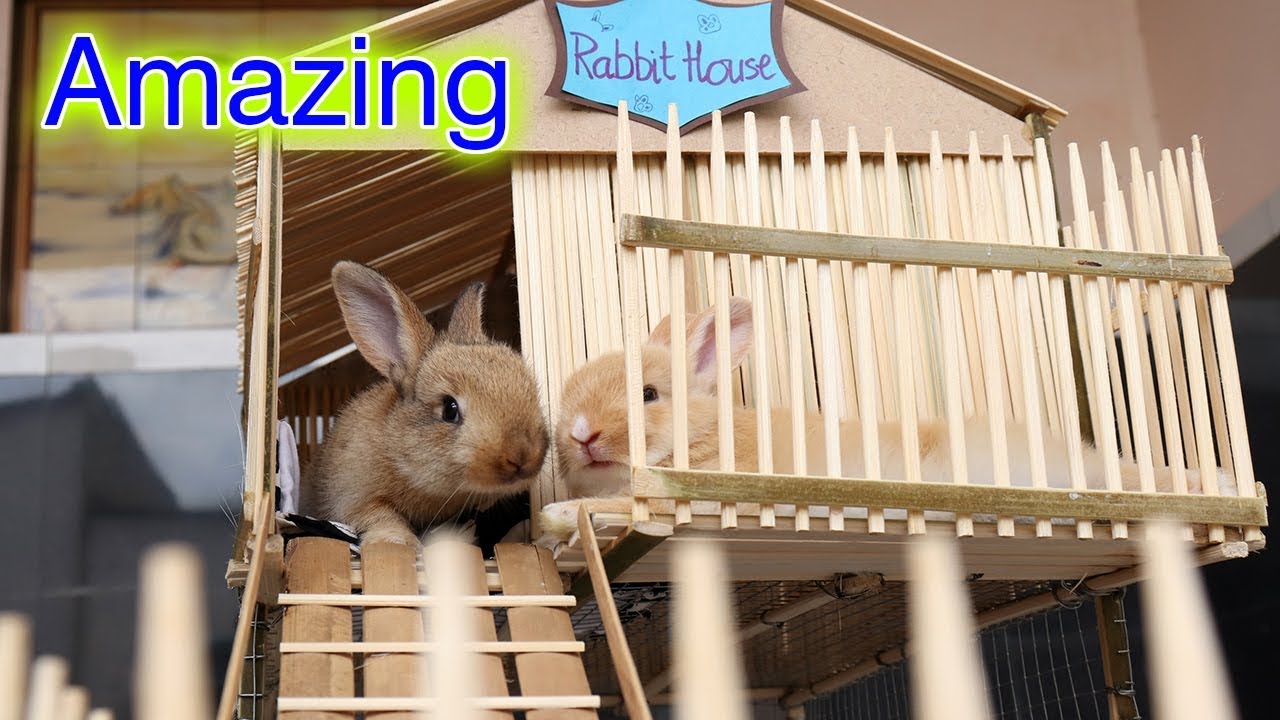 How to make Amazing Rabbit House from Bamboo