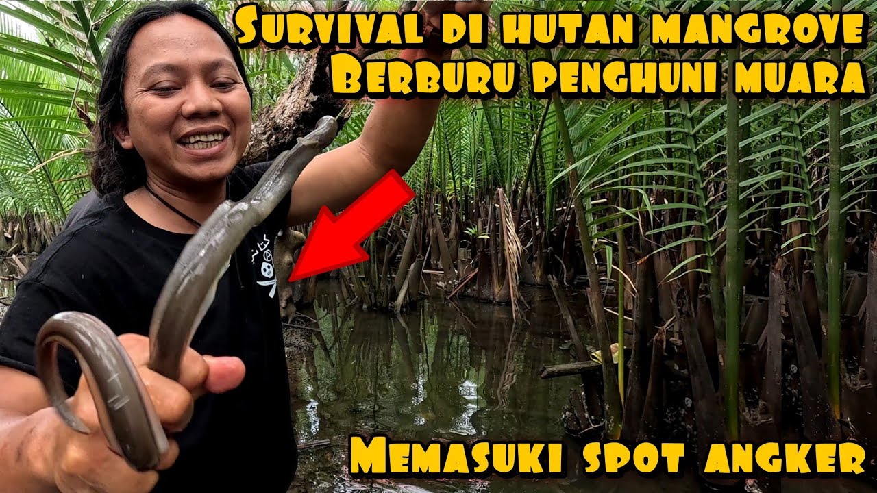 DEDE INOEN SURVIVAL DI HUTAN MANGROVE RASA BORNEO