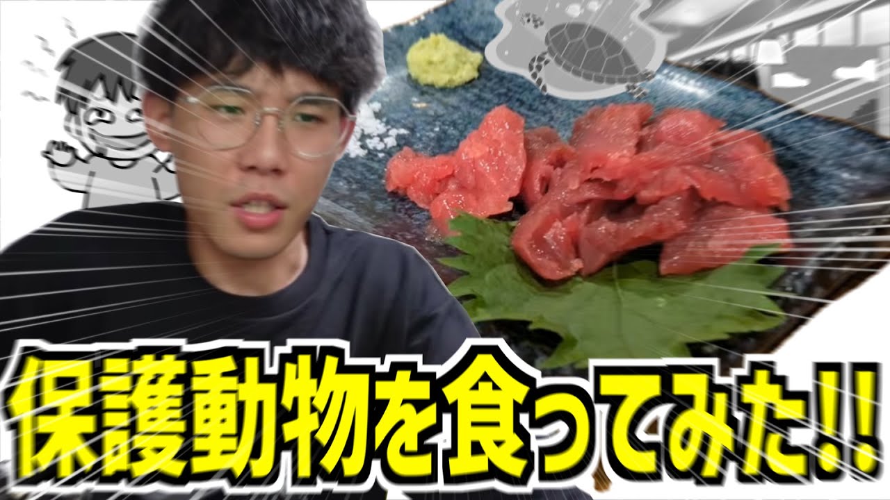 変な食べ物があるお店で保護動物の亀さんを食うてるきがやばすぎた!!【やまかわてるき】【切り抜き】
