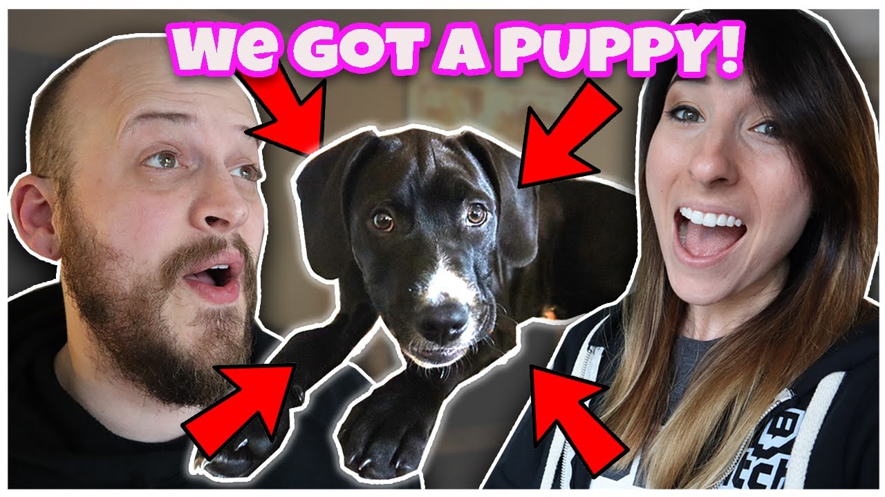Adding a NEW MEMBER to our Family!