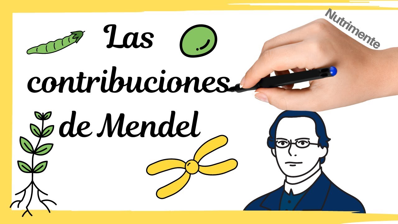 Las contribuciones de Mendel