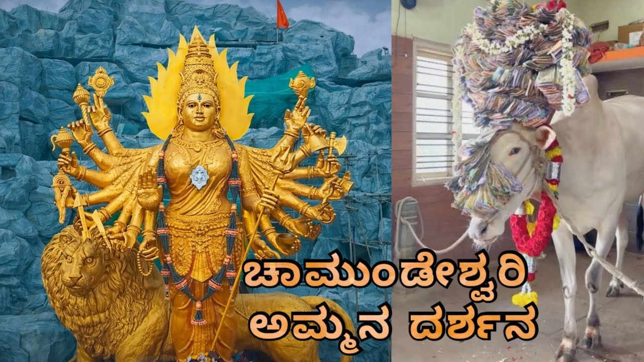 ಶ್ರೀ ಚಾಮುಂಡೇಶ್ವರಿ ಅಮ್ಮನ ದರ್ಶನ ಗೌಡರ ಗೆರೆ #sashokvlog #travel #kannadavideo #subscribe 🔱🦁