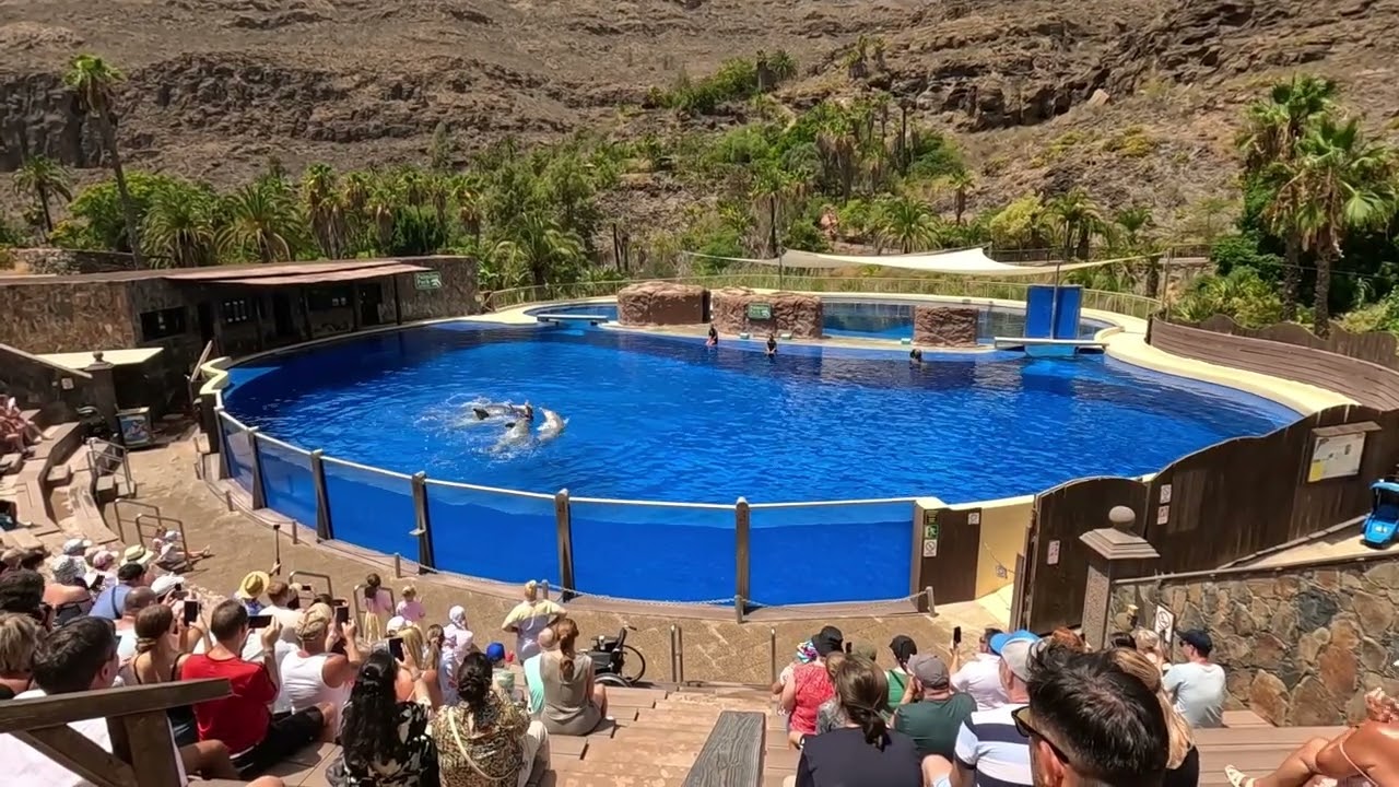 Palmitos Park Dolphin show
