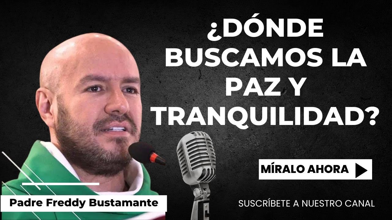 ¿Dónde buscamos la paz y tranquilidad? -  Padre Freddy Bustamante