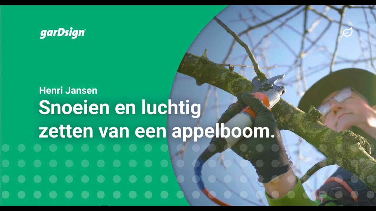 Straks mooie en grote appels? Dan nu goed snoeien! (appelboom)