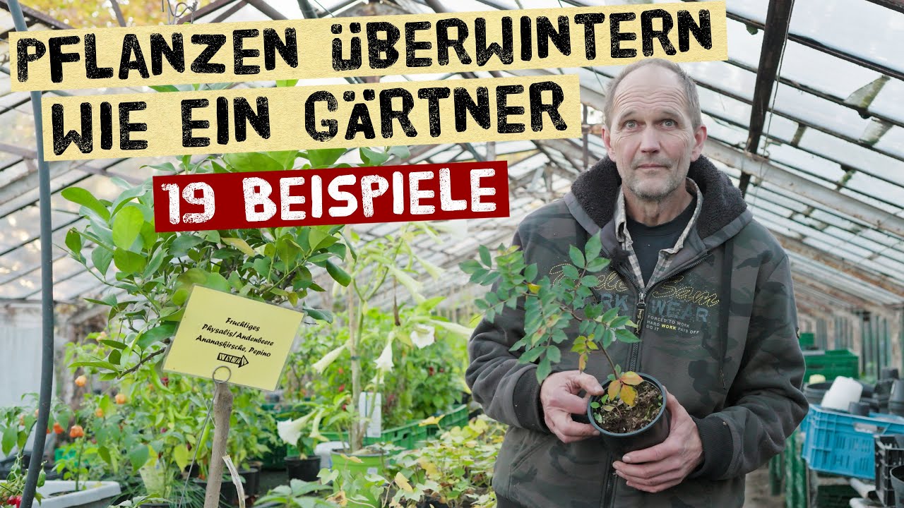 So überwintern Gärtner ihre Pflanzen – 19 Arten, die du retten kannst!